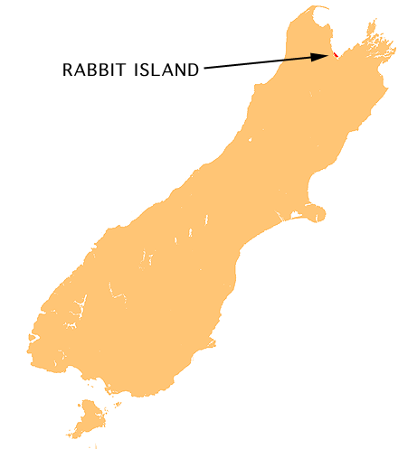 Rabbit Island, New Zealand